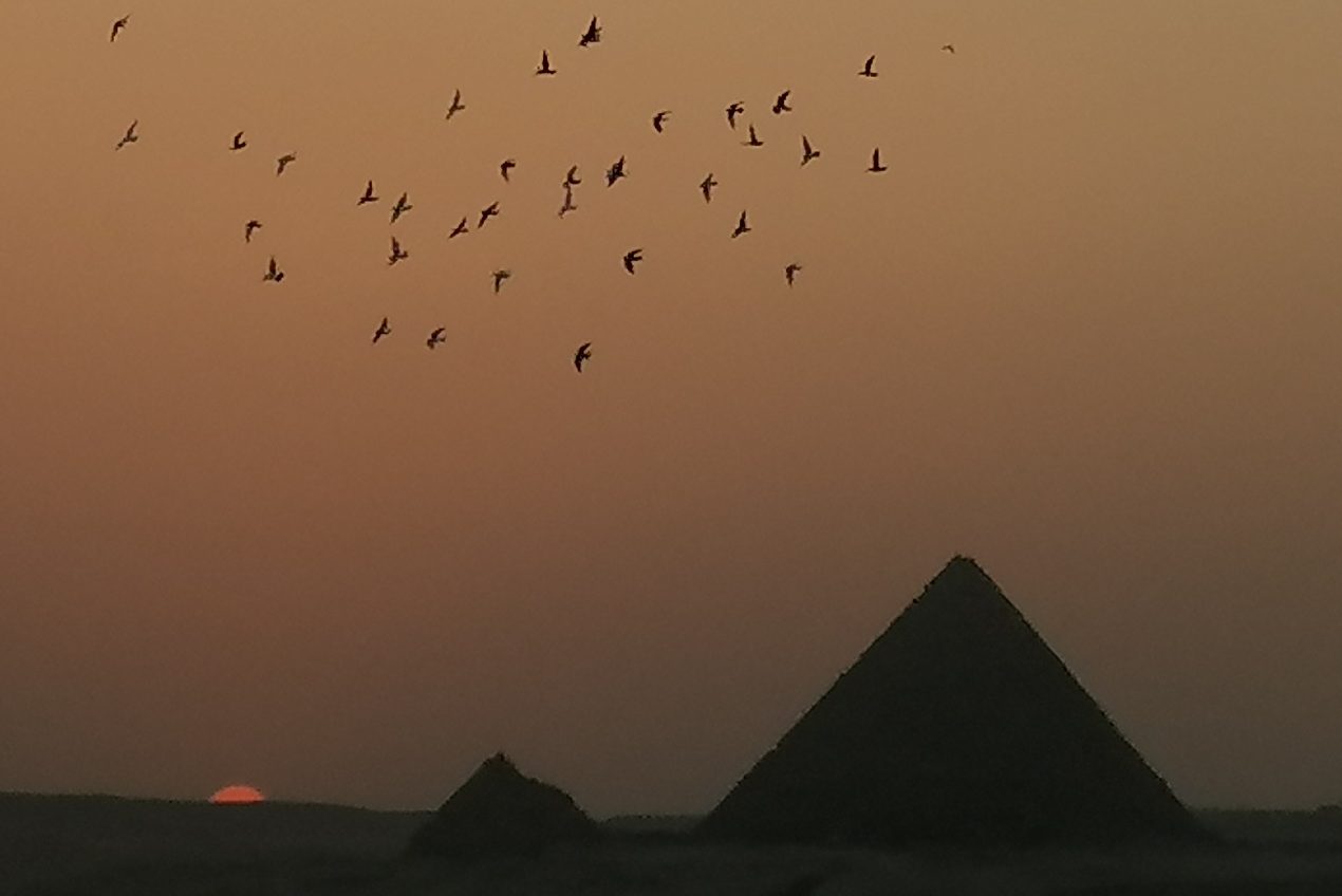 pyramids Cairo1